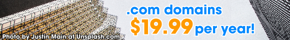 dot-com domains $19.99 per year